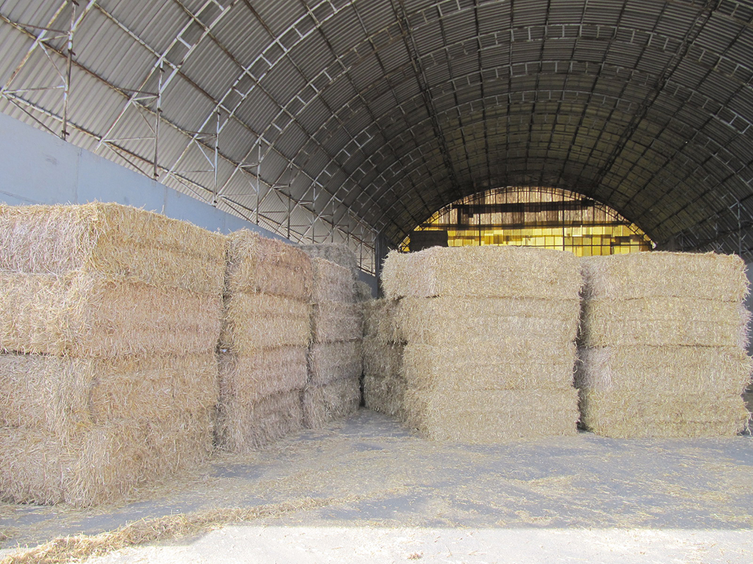 Řezaná sláma Řezaná sláma